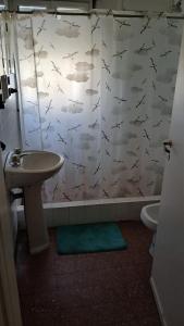 サンタ・ロサ・デ・カラムチタにあるLa casa de Renaのバスルーム(魚の入ったシャワーカーテン付)