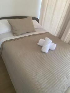 Fotografie z fotogalerie ubytování Viabo v destinaci Viña del Mar