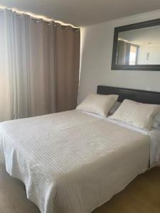 Fotografie z fotogalerie ubytování Viabo v destinaci Viña del Mar