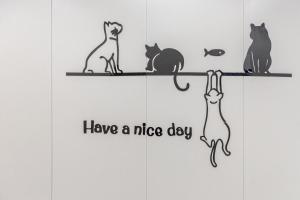 have a nice day cats on shelf at Muij in Xiaoliuqiu