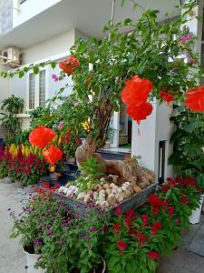 Gallery image of Trang Anh Hotel - Phan Thiết in Ấp Bình Hưng