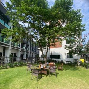 Fan-shu-liaoにあるOcean Blue Homestayの庭の木の下の椅子