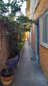 Fotografie z fotogalerie ubytování Posada Casa Sofía v destinaci Huichapan