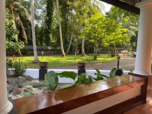 Zahrada ubytování Babira brookside heritage resort