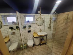 a bathroom with a sink and a toilet and a shower at Marina Kociewska in Ocypel