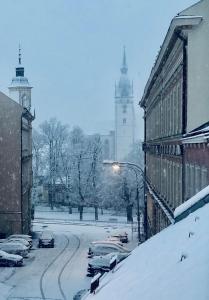 Apartmán Půda na jihu talvel