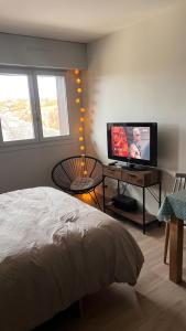 TV a/nebo společenská místnost v ubytování Studio entre lacs et montagnes
