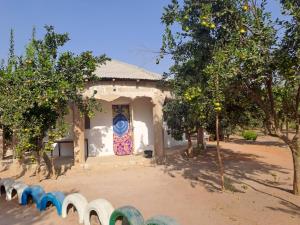 Billede fra billedgalleriet på Adama Jarju's Horticultural Garden i Sifoe