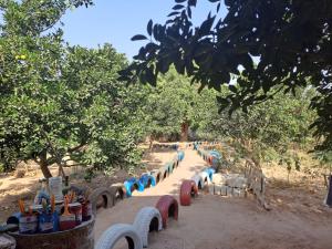 Billede fra billedgalleriet på Adama Jarju's Horticultural Garden i Sifoe + 7 billeder