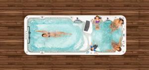 a group of people swimming in a swimming pool at Titoki House - Bed and Breakfast in Cambridge