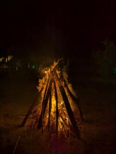 Fotografie z fotogalerie ubytování Yala Mila Villa v destinaci Gangawelana