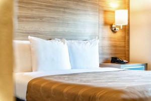 Letto o letti in una camera di Quality Inn Chandler I-10