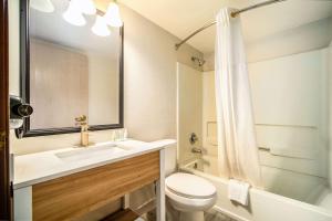 un bagno con lavandino, wc e doccia di Quality Inn Chandler I-10 a Chandler