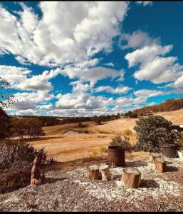 a group of logs sitting on top of a field at Circle of Light Retreat in Kangaroo Gully