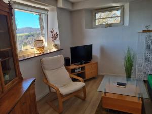 TV a/nebo společenská místnost v ubytování Manderscheid Ferienwohnung mit Weitblick