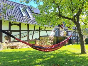 Zahrada ubytování Landhaus am Aremberg / Eifel + 14 fotografií