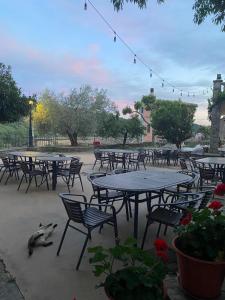Zahrada ubytování Hotel Guara Inlukā