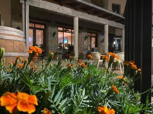 Zahrada ubytování Hotel Guara Inlukā