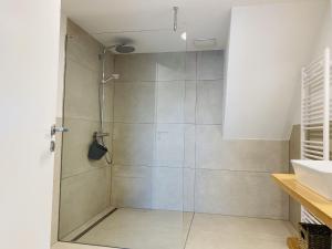 a shower with a glass door in a bathroom at Ferienwohnung Haus Alpenblick in Lenzkirch +17 photos