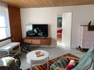 Una sala de estar con un sofá y un televisor. en Hund und Kind Appartment, en Oberndorf am Neckar