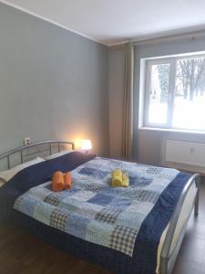 Fotografie z fotogalerie ubytování Vanalinna Apartment v Tallinnu