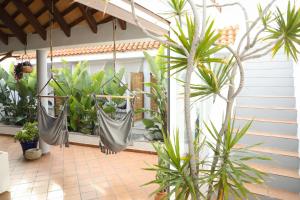 a courtyard with palm trees and hammocks at Calas De Meca in Los Caños de Meca
