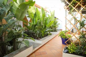 a greenhouse filled with lots of plants in pots at Calas De Meca in Los Caños de Meca