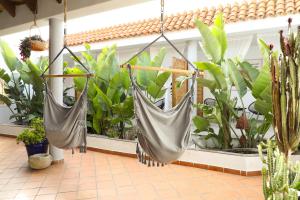 two hammocks hanging in a room with plants at Calas De Meca in Los Caños de Meca