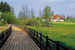 Příroda nedaleko hotelu