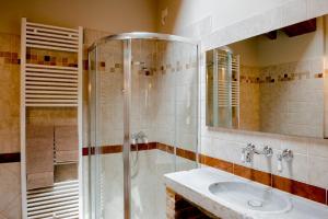 a bathroom with a shower and a sink at Agriturismo Il Colle del Falco in Borghetto +39 photos