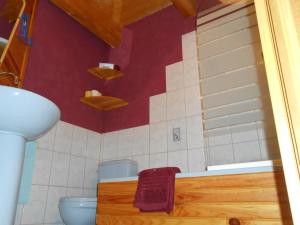 uma casa de banho com um WC e um lavatório em Chambre D'hôtes Myrtille em Usson-en-Forez