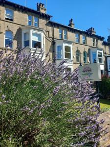 un arbusto con flores púrpuras delante de un edificio en Nama-Stay Harrogate, en Harrogate