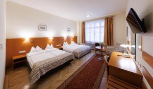 TV a/nebo společenská místnost v ubytování Continental Hotel-Pension