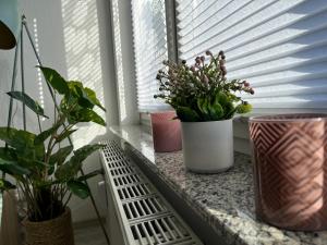Fotografie z fotogalerie ubytování Wohnperle*Carré Charlott* 5 v destinaci Pulsnitz