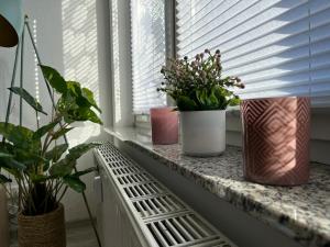 Fotografie z fotogalerie ubytování Wohnperle*Carré Charlott* 5 v destinaci Pulsnitz