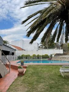 a backyard with a swimming pool and a palm tree at Zinzanathi Guest house in Ladysmith