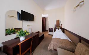 TV a/nebo společenská místnost v ubytování Continental Hotel-Pension