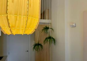 two potted plants are hanging from a yellow ceiling at Osito Hub - Poeta Durán in Valencia +7 photos