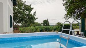 a swimming pool with a ladder next to a house at Panorámaház Lovason in Lovas