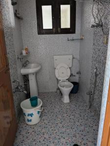 a bathroom with a toilet and a sink at John's palace in Srinagar