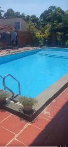 a large blue swimming pool with two potted plants at Thành Khôi Bungalow in Phú Quốc