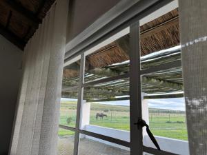 Billede fra billedgalleriet på Gratitude Wellness Village - The Cottages i Droëvlakte