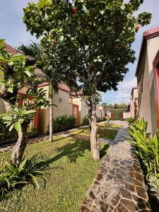 un jardín con 2 árboles y un camino de piedra en Gelis Gede Cottages, en Uluwatu