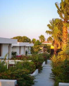 Gallery image of THAT's Alaçatı in Alacati