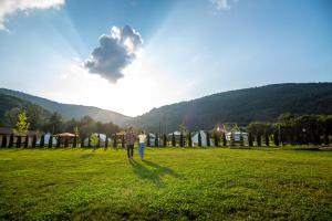 a couple walking in a field with a kite at Green Resort Suncuius in Şuncuiuş