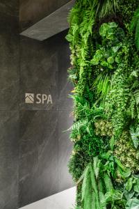 Vonkajšia záhrada v ubytovaní Wellness Hotel Svornost