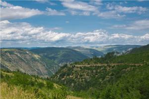 a view of a valley with trees and mountains at Gîte de poujols in Mas Saint-Chély +4 photos
