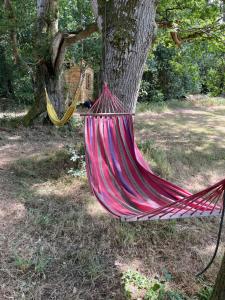 Lickham Bottom Camping外面的花园