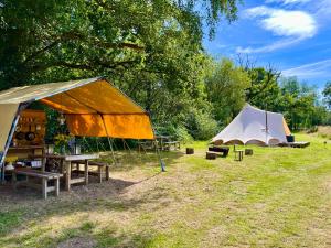 HemyockLickham Bottom Camping的两个帐篷和一个野餐桌