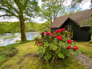 a house with red flowers next to a river at Burnbank Lodges in Spean Bridge